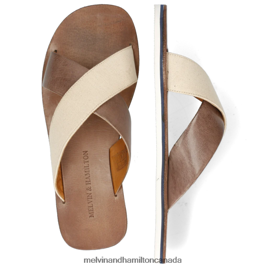 Men Melvin & Hamilton Brown Sam 5 Mules P4V68P726