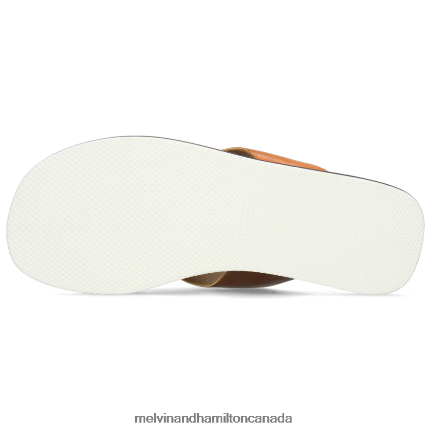 Men Melvin & Hamilton Brown Sam 5 Mules P4V68P741