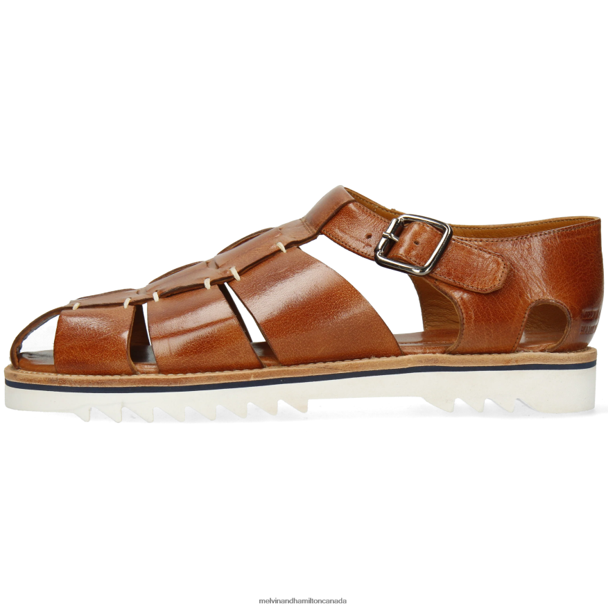 Men Melvin & Hamilton Brown Sam 29 Sandals P4V68P764
