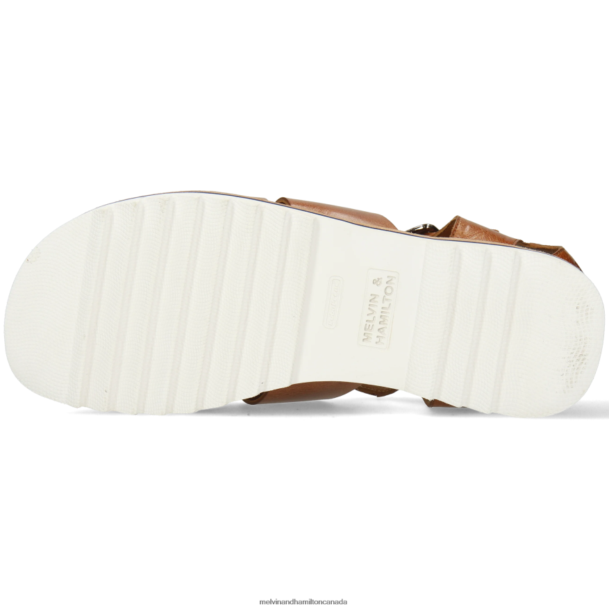 Men Melvin & Hamilton Brown Sam 29 Sandals P4V68P764