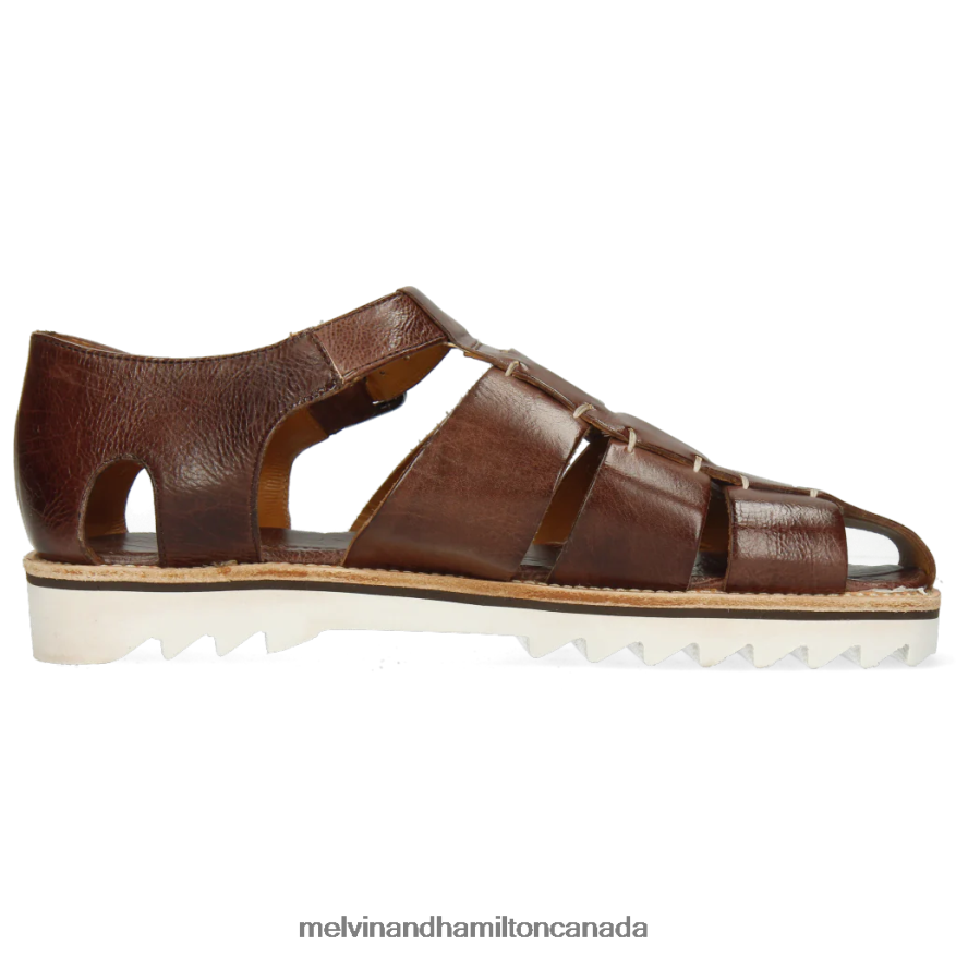 Men Melvin & Hamilton Brown Sam 29 Sandals P4V68P773