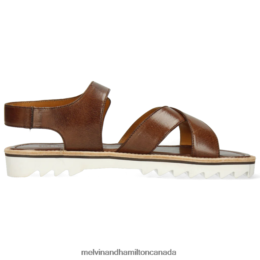Men Melvin & Hamilton Brown Sam 33 Sandals P4V68P757
