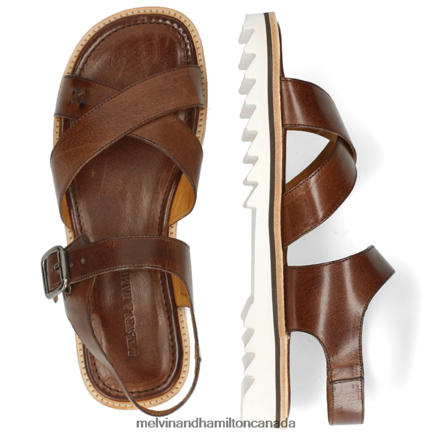 Men Melvin & Hamilton Brown Sam 33 Sandals P4V68P757