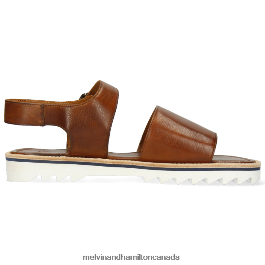 Men Melvin & Hamilton Brown Sam 34 Sandals P4V68P770