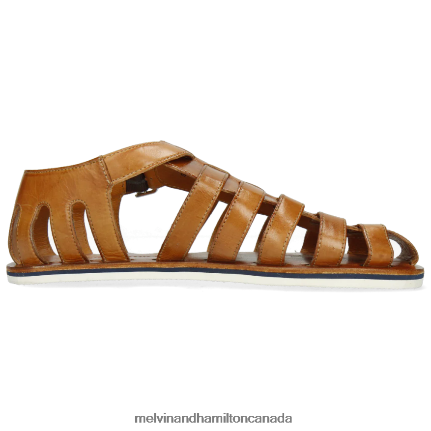 Men Melvin & Hamilton Brown Sam 3 Sandals P4V68P753