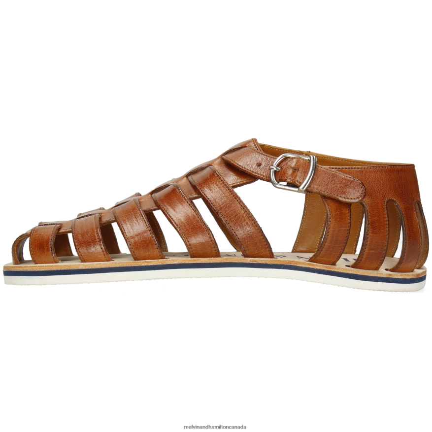 Men Melvin & Hamilton Brown Sam 3 Sandals P4V68P766