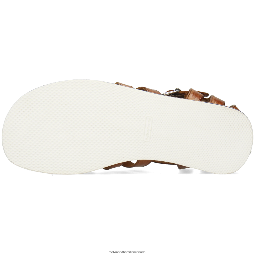 Men Melvin & Hamilton Brown Sam 3 Sandals P4V68P766