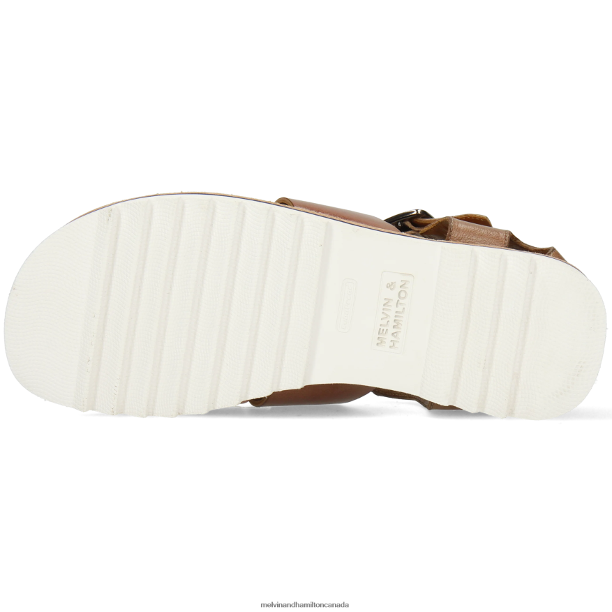 Men Melvin & Hamilton Multi Sam 29 Sandals P4V68P765